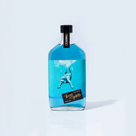 【ふるさと納税】 【三島製造クラフトジン】Teen Spirits（ティーン スピリッツ）2本 -Whiskey&Co.-