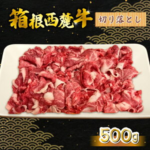 yӂ邳Ɣ[Łz [ ؂藎Ƃ 500g Ouh F苍  Y Y    Yi Yi Os É