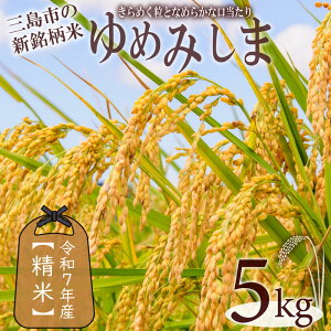 yӂ邳Ɣ[Łz ߘa7NY s\ V ߂݂  Iׂ e 2kg 5kg 10kg O V u߂݂܁v `I N炿   ͂    ݂ O