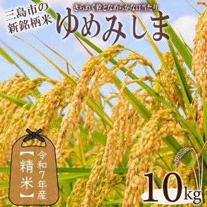 【ふるさと納税】 令和7年産 先行予約 新米 ゆめみしま 精米 選べる 容量 2kg 5kg 10kg 三島米 新銘柄米 「ゆめみしま」 粒形が特徴的 湧水育ち こめ 米 ごはん 白米 お米 精米 炊き込みご飯 グラ