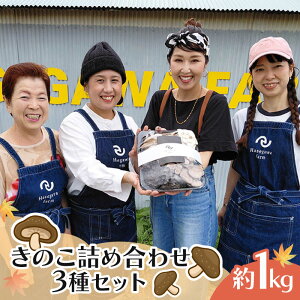 �y�ӂ邳�Ɣ[�Łz ���̂� �l�ߍ��킹 �Z�b�g 3�� ��1kg �Ђ炽�����߂� �G�����M �q���^�P �v���[���b�g ��� �G�����M �o�^�[ ���̂� ���� �O���s �É���