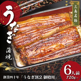 【ふるさと納税】 静岡 名産 うなぎ 蒲焼 6人前 720g～ 冷蔵 三島名物 真空パック 御殿川 土用丑の日 晩ごはん 家族 惣菜 老舗 贈り物 ギフト 特産品 グルメ 鰻 ウナギ かば焼き たれ付き 鰻蒲焼 うなぎ専門店 お取り寄せ プレゼント 贈答用 三島市 静岡県