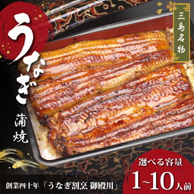 【ふるさと納税】 《選べる内容量！》静岡 名産 うなぎ 蒲焼 冷蔵 三島名物 老舗 うなぎ屋 真空パック 御殿川 土用丑の日 晩ごはん 家族 惣菜 ギフト プレゼント 贈り物 うな重 うな丼 鰻料理 蒲焼き うなぎ蒲焼 鰻蒲焼 うなぎ料理 ウナギ 鰻 うな丼セット 三島市 静岡県