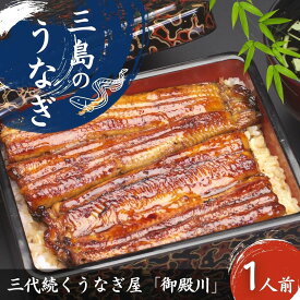 【ふるさと納税】 静岡の名産うなぎ蒲焼 1人前 120g〜140g 1尾 カット 冷蔵 三島名物 3代続くうなぎ屋 うなぎ蒲焼 真空パック 三島名物 御殿川 極上うなぎ 熟練 職人 静岡県 三島市 土用丑の日 晩ごはん 家族 惣菜