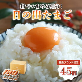 【ふるさと納税】 日の出たまご 45個入り 卵 たまご 生卵 玉子 箱根西麓 三島 ブランド 濃厚 黄身 養鶏 朝食 料理 お菓子作り 平飼い 飼料 富士 伏流水 ぷっくり 弾力 たまごかけごはん 三島市 静岡県