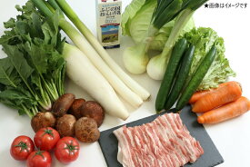 【ふるさと納税】野菜 セット 旬の野菜とお肉の詰め合わせ　静岡県富士宮市