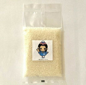 【ふるさと納税】【無洗米】白糸産コシヒカリ　1合（150g）×20個　お米　計量済み　小分け　送料無料　静岡県 富士宮市