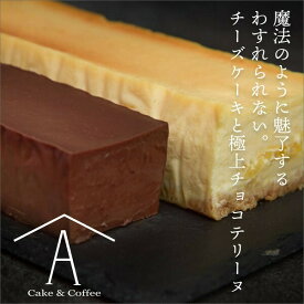 【ふるさと納税】わすれられない。チーズケーキと極上チョコテリーヌ（2本セット）　送料無料　静岡県 富士宮市