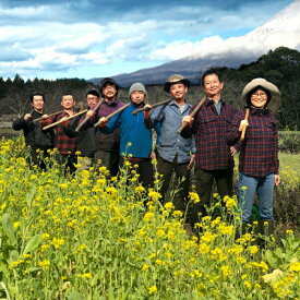 【ふるさと納税】富士山麓オーガニックファーマーズ　旬の野菜セット　送料無料 静岡県 富士宮市