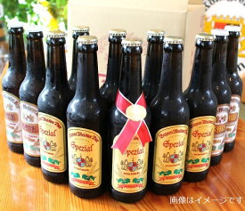 【ふるさと納税】富士山の水を使った地ビール バイエルンマイスタービール 12本セット　330ml 瓶 ビール 地ビール 送料無料 静岡県 富士宮市