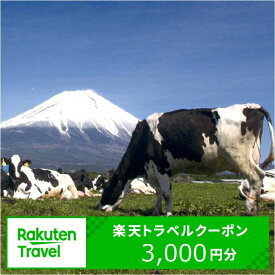 【ふるさと納税】静岡県富士宮市の対象施設で使える楽天トラベルクーポン 寄付額 10,000円 国内 旅行 富士山 トラベル 宿泊 宿泊券 ペア 旅館 家族 カップル 観光 ホテル クーポン 宿泊予約 予約 返礼品 静岡県 富士宮市 やきそば 朝霧高原