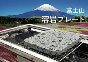 yӂ邳Ɣ[ŁzxmRnv[g (䌚ފ)@n v[g BBQ o[xL[ AEghA ӂ邳Ɣ[ ӂ邳  É xm{s