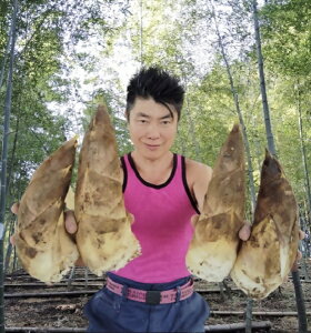 yӂ邳Ɣ[Łz^PmR̐ʂ̂ 2`3kg ̂ y3ȍ~\z@ ̂ ^PmR  É xm{s