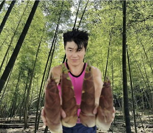 yӂ邳Ɣ[Łz^PmR̐ʃn`Nyу}_P 3kg ̂ y5ȍ~\z@n`N }_P ^PmR  É xm{s