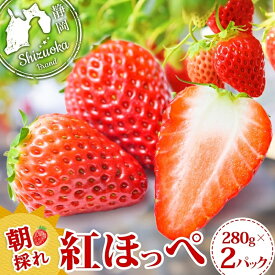 【ふるさと納税】富士宮市産 いちご 紅ほっぺ 280g×2P 計560g　送料無料 静岡県 富士宮市