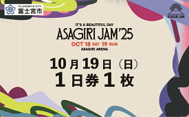 【ふるさと納税】【1日券1枚】It's a beautiful day 朝霧JAM’25 10/19(日) [AJ02]　音楽 フェス イベント 朝霧JAM ふもとっぱら 送料無料 静岡県 富士宮市