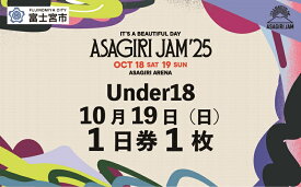 【ふるさと納税】【Under18 1日券1枚】It's a beautiful day 朝霧JAM’25 10/19(日) [AJ04]　音楽 フェス イベント 朝霧JAM ふもとっぱら 送料無料 静岡県 富士宮市