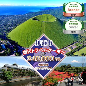【ふるさと納税】静岡県伊東市の対象施設で使える楽天トラベルクーポン 寄附額800,000円