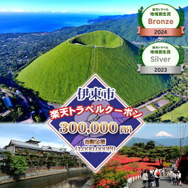 【ふるさと納税】静岡県伊東市の対象施設で使える楽天トラベルクーポン 寄附額1,000,000円
