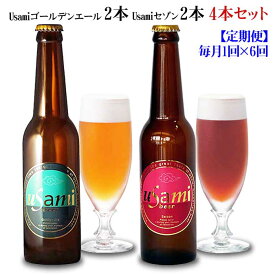 W06【ふるさと納税】【定期便 全6回】Usamiビール2種×2本(4本セット) 毎月1回×6回