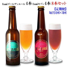 W03【ふるさと納税】【定期便 全3回】Usamiビール2種×4本(8本セット) 毎月1回×3回