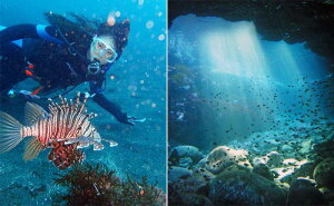 yӂ邳Ɣ[ŁzɓE郖̊CŁw2r[`t@_CuxWIp[N̊CEē(1l)