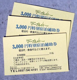 【ふるさと納税】ペンションマーガレット 特別宿泊補助券3,000円×1枚