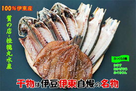 【ふるさと納税】伊豆・伊東 桂穂丸干魚店 ひもの詰合せ