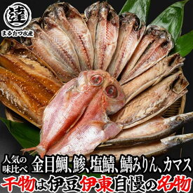 【ふるさと納税】伊豆・丸達水産 おすすめ ひものセット