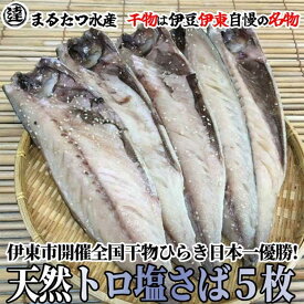 【ふるさと納税】伊豆・伊東 丸達水産 天然トロ塩さば5枚セット