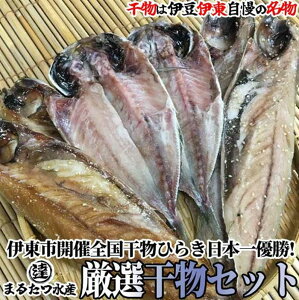 【ふるさと納税】伊豆・伊東 丸達水産 厳選ひものセット