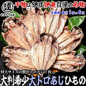 W06【ふるさと納税】【定期便 全6回】伊豆・伊東 丸達水産 脂の乗りが違う！絶品とろあじ7枚セット 毎月1回×6回