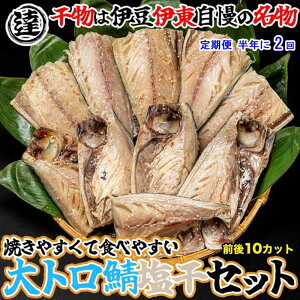 G2*yӂ邳Ɣ[Łzy S2zɓEɓ ےBY VR10؃Zbg Hׂ₷n[tJbg N2