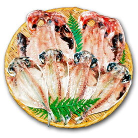 W03【ふるさと納税】【定期便 全3回】伊豆・伊東 干物セット大島B 特上トロあじ4枚 金目鯛2枚 ひもの佐々木海産の詰め合わせ 毎月1回×3回