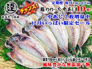 W12yӂ邳Ɣ[Łzy S12zn32N ЍH  SY ɓEےBY ̂̂ Ђ10+2 v12Zbg Ђ2ʒ `X 12