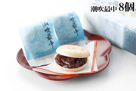 【ふるさと納税】紅谷 潮吹最中 8個入 伊東ブランド認定品