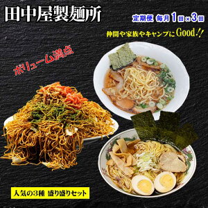W03【ふるさと納税】【定期便 全3回】お試しお手軽 田中屋製麺所のラーメン、焼きそば、特製平打ち麺が入った16袋の詰め合わせセット 毎月1回×3回