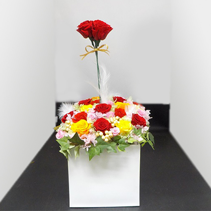 【超特価】 静岡県島田市 ふるさと納税 薔薇のアレンジメント 夏XL お花 薔薇 植物 品質満点 バラ