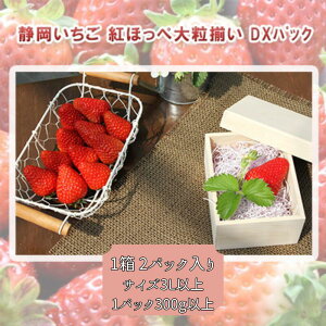 yӂ邳Ɣ[Łz gق 嗱 DXpbN 1 2pbN Zbg t[c ʕ  C`S  嗱 ʎ {̉ʕ {̃t[c É É cs yzsFz@