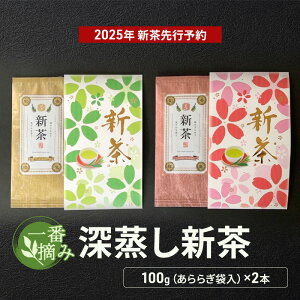 yӂ邳Ɣ[Łzy2026N5{ȍ~菇zԓE݁@[V100gi炬ܓj×2{  Β @͂F2026N58`2026N810