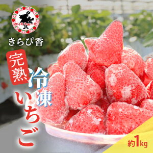 yӂ邳Ɣ[Łz Ⓚ É 肷ӂ[ ńuҍvnⓀ 1kg  C`S ycsz