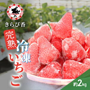 yӂ邳Ɣ[Łz Ⓚ É 肷ӂ[ ńuҍvnⓀ 2kg  C`S ycsz
