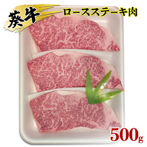 yӂ邳Ɣ[ŁzHʂ̐ÉE [X Xe[L 500g  cs