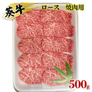 yӂ邳Ɣ[ŁzHʂ̐ÉE [X ēp 500g  cs