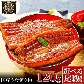 【ふるさと納税】うなぎ蒲焼 120g×1尾 うなぎ ウナギ 鰻 蒲焼 蒲焼き冷凍 国産 大五 大五通商 静岡 島田市