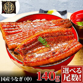 【ふるさと納税】うなぎ蒲焼 140g×2尾(280g) うなぎ ウナギ 鰻 蒲焼 蒲焼き冷凍 国産 大五 大五通商 静岡 島田市