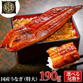 【ふるさと納税】うなぎ蒲焼 190g×2尾(380g) うなぎ ウナギ 鰻 蒲焼 蒲焼き冷凍 国産 大五 大五通商 静岡 島田市