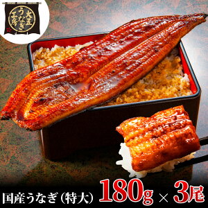 yӂ邳Ɣ[ŁzȂ 180g×3(540g) Ȃ EiM V  ĂⓀ Y  ܒʏ É cs