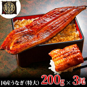 yӂ邳Ɣ[ŁzȂ 200g×3(600g) Ȃ EiM V  ĂⓀ Y  ܒʏ É cs