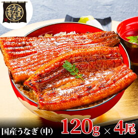 【ふるさと納税】うなぎ蒲焼 120g×4尾(480g) うなぎ ウナギ 鰻 蒲焼 蒲焼き冷凍 国産 大五 大五通商 静岡 島田市